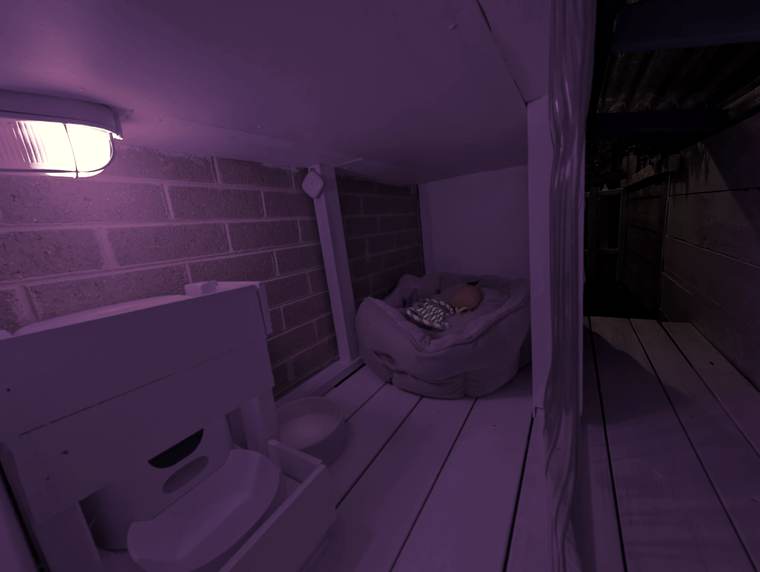 Cosy Bed & Calming Screen at Marshian Pet Home, Bacchus Marsh