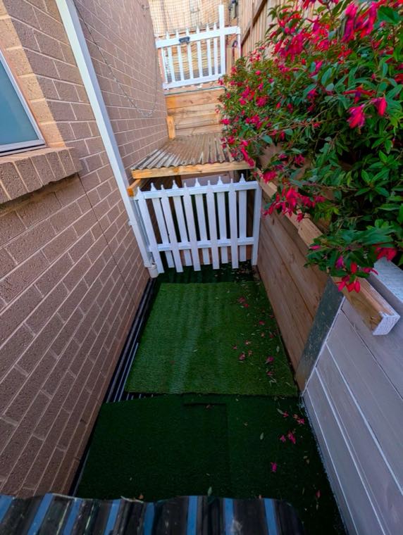 Undercover Potty Area at Marshian Pet Home, Bacchus Marsh
